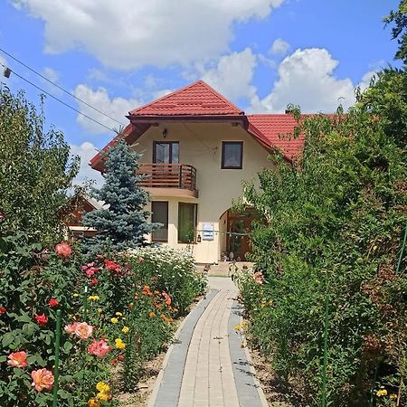 Agropensiunea Florina-Maria Branistea  Екстериор снимка