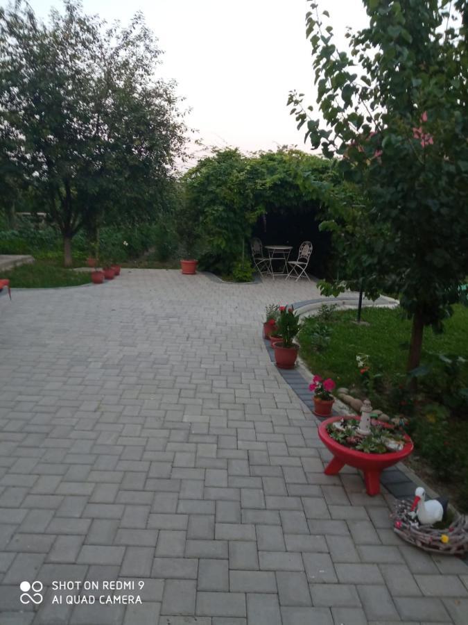 Agropensiunea Florina-Maria Branistea  Екстериор снимка