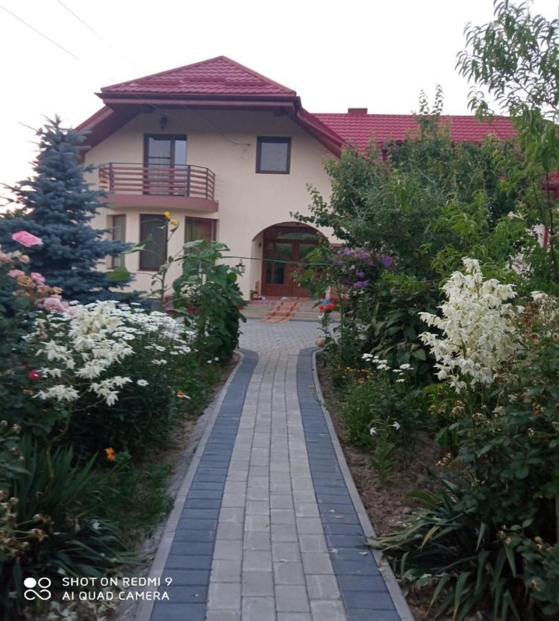 Agropensiunea Florina-Maria Branistea  Екстериор снимка