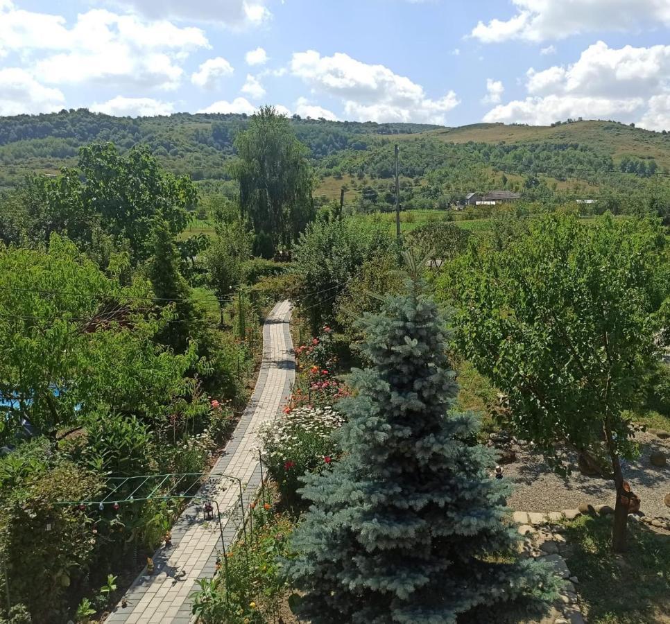Agropensiunea Florina-Maria Branistea  Екстериор снимка