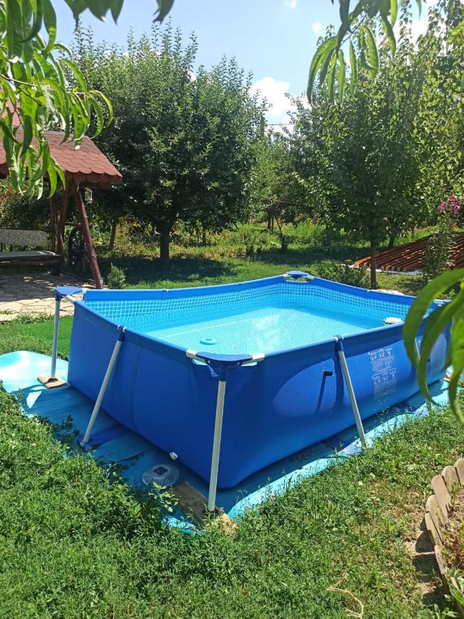 Agropensiunea Florina-Maria Branistea  Екстериор снимка