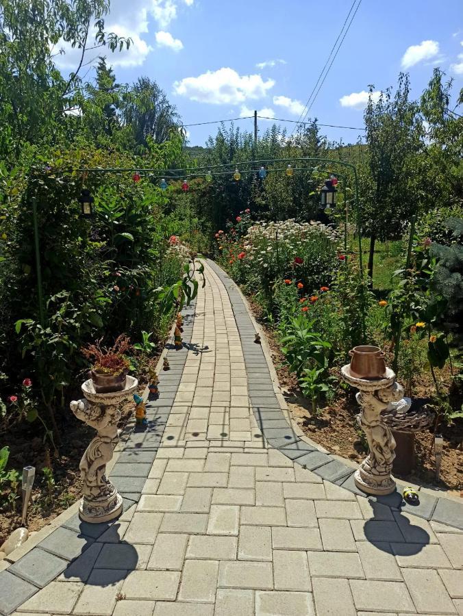 Agropensiunea Florina-Maria Branistea  Екстериор снимка